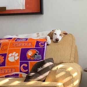 Meet your Posher, Tom